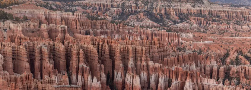 Kaia by Outdoor Citizen Achieves First I-526E Approval